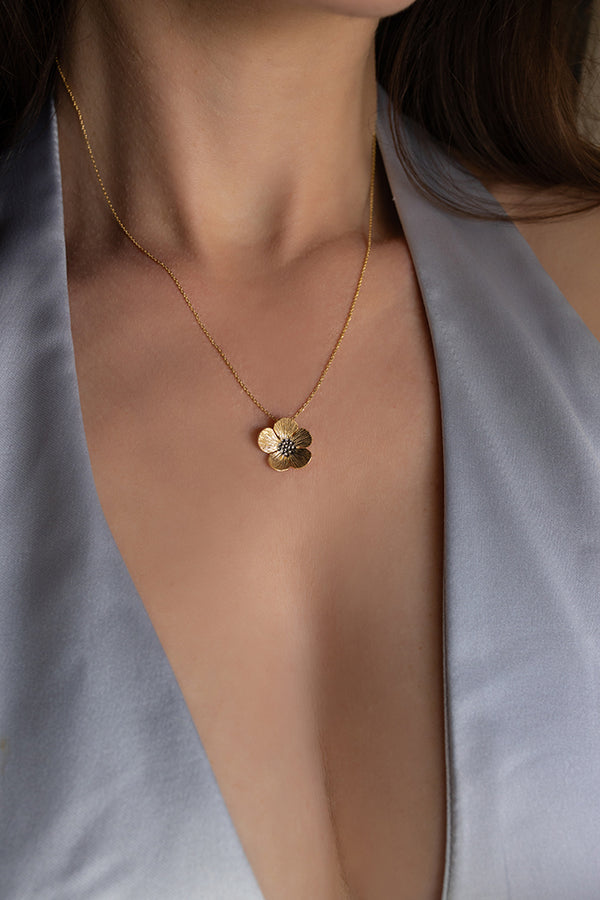 ΚΟΛΙΕ-ΛΟΥΛΟΥΔΙ-ΔΙΧΡΩΜΟ