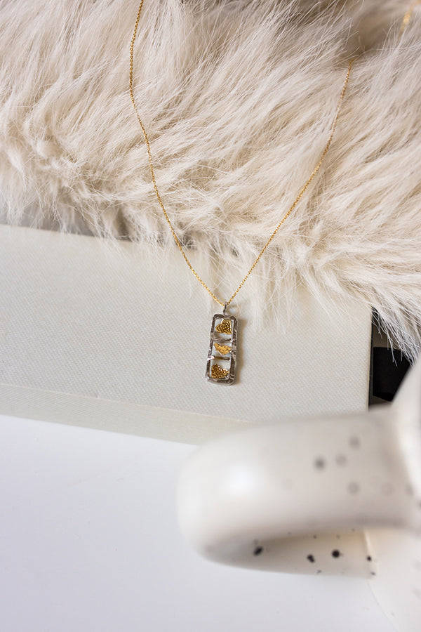 ΚΟΛΙΕ-ΔΙΧΡΩΜΟ-ΚΑΡΔΙΕΣ