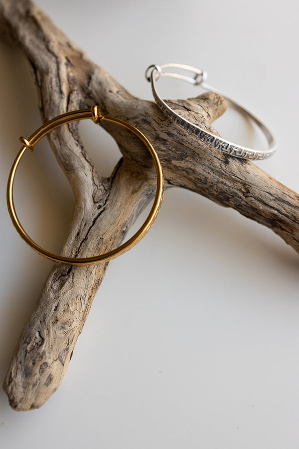 ΒΡΑΧΙΟΛΙ-ΧΕΙΡΟΠΕΔΑ-ΜΑΙΑΝΔΡΟΣ