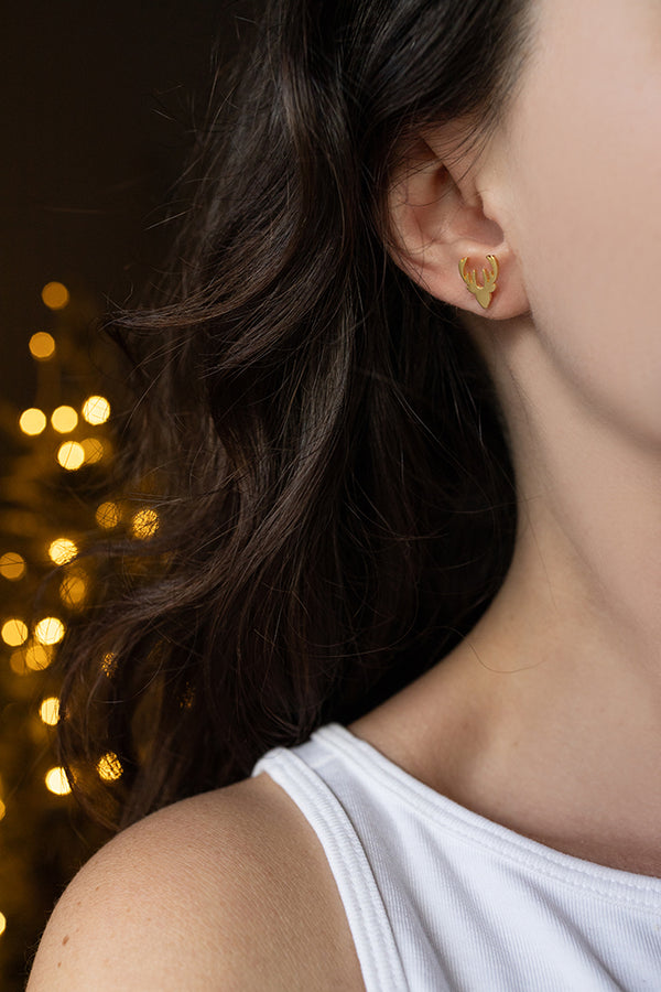 ΣΚΟΥΛΑΡΙΚΙΑ-ΤΑΡΑΝΔΟΣ-925