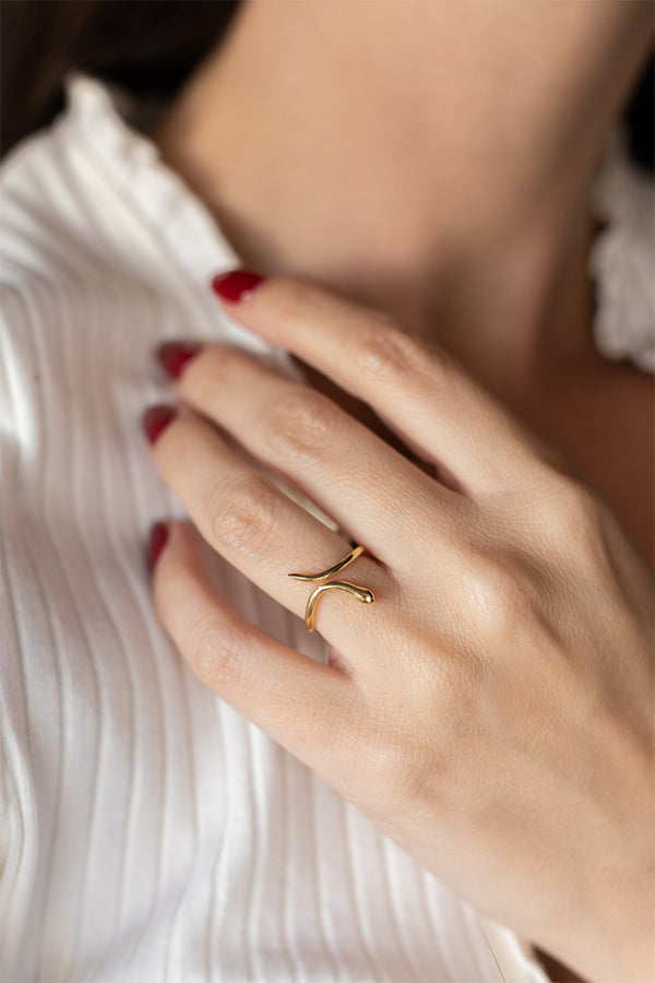 ΔΑΧΤΥΛΙΔΙ-ΦΙΔΙ-ΑΣΗΜΙ925