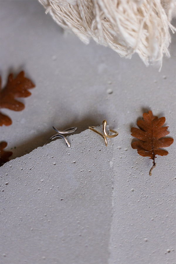 ΔΑΧΤΥΛΙΔΙ-ΦΙΔΙ-ΑΣΗΜΙ925