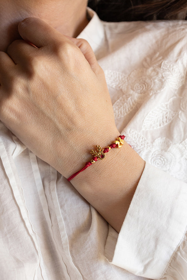 ΓΟΥΡΙ-ΒΡΑΧΙΟΛΙ-2026