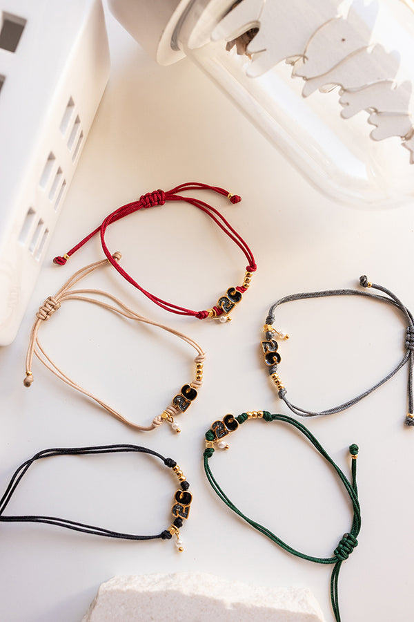 ΓΟΥΡΙ-2026-ΒΡΑΧΙΟΛΙ